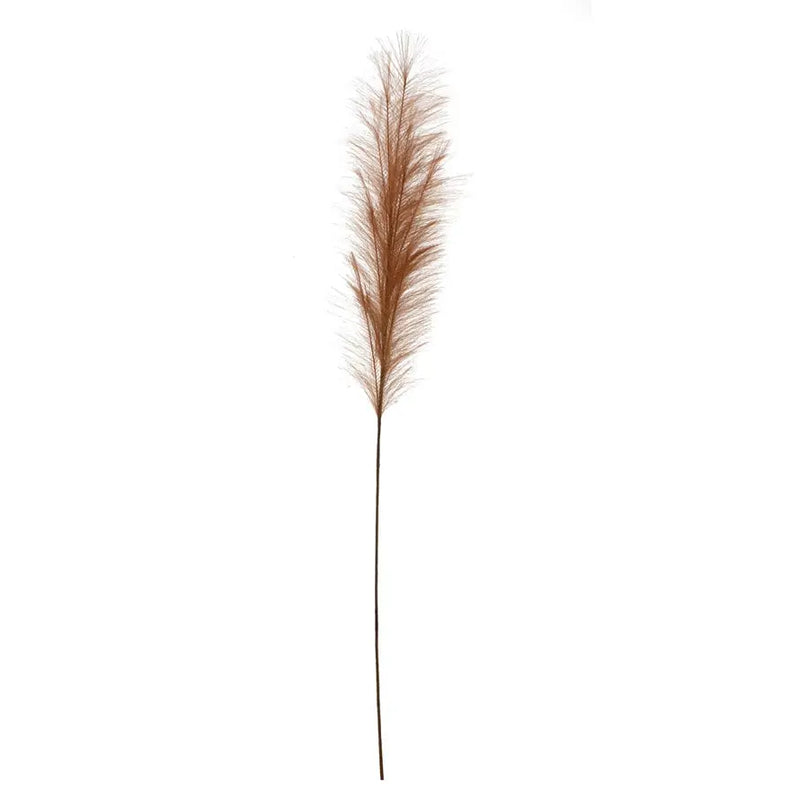 Pampas Grass Branch Greenhouse Home
