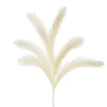 Pampas Grass Spray, [product_price]- Greenhouse Home