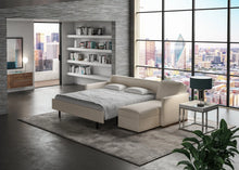 Pearson Sleeper Sofa, [product_price]- Greenhouse Home