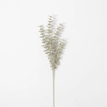 Platinum Eucalyptus Spray - Greenhouse Home