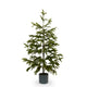 Potted Faux Noble Fir Tree Raz Imports