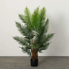Potted Palm Tree Sullivans