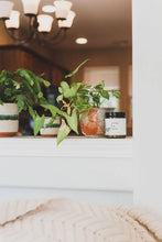 Pumpkin Spice - 9 oz Soy Candle - Fall Broken Top Brands