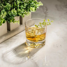 Radiant Double Old Fashioned Glass, [product_price]- Greenhouse Home