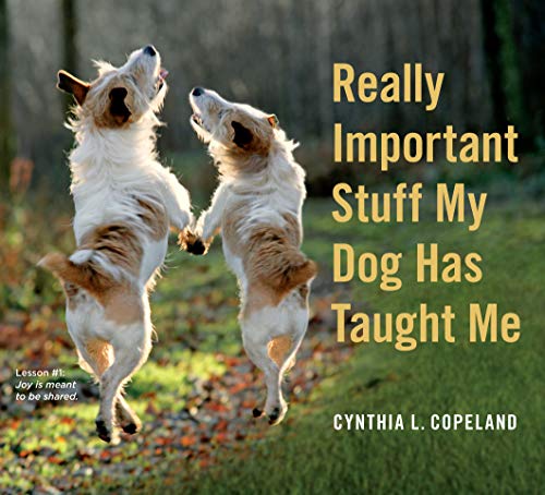 Really Important Stuff My Dog Has Taught Me - Greenhouse Home