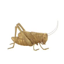 Resin Cricket, [product_price]- Greenhouse Home
