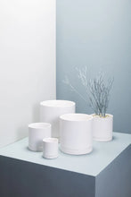 Romey Pot Accent Decor