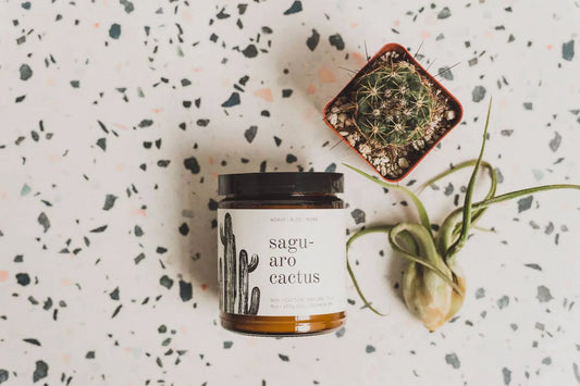 Saguaro Cactus - 9 oz Soy Candle Broken Top Brands