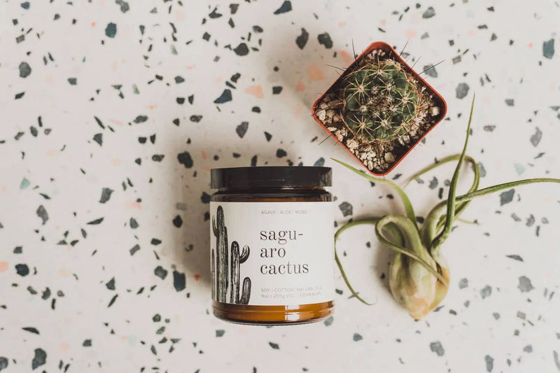 Saguaro Cactus - 9 oz Soy Candle Broken Top Brands