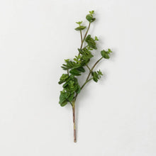 Sedum Succulent Spray, Large, [product_price]- Greenhouse Home