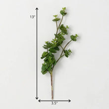 Sedum Succulent Spray, Large, [product_price]- Greenhouse Home