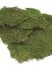 Sheet Moss Replica Plants & Decor