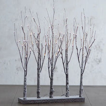 Lit Birch Tree - Brown - Greenhouse Home