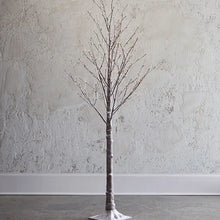 Lit Birch Tree - Brown - Greenhouse Home