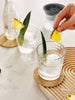 Sphere Ice Mold, Set of 2, [product_price]- Greenhouse Home