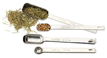 Spice Measuring Spoon-Set Of 6, [product_price]- Greenhouse Home