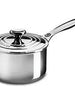 Stainless Steel Saucepan - Greenhouse Home