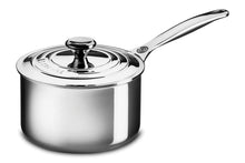 Stainless Steel Saucepan - Greenhouse Home