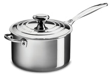 Stainless Steel Saucepan - Greenhouse Home