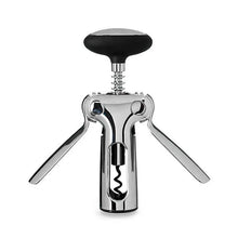 Steel Winged Corkscrew - Greenhouse Home