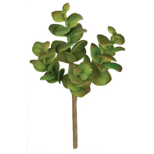 Succulent Spray - Greenhouse Home