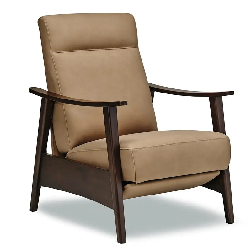 Vern Reclining Leather Chair, [product_price]- Greenhouse Home