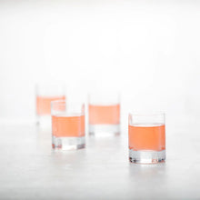 Paris Juice/Whiskey Cocktail Glass, [product_price]- Greenhouse Home