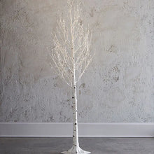 White Lit Birch Tree - Greenhouse Home