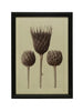 Wood Framed Glass Wall Décor w/ Artichokes, [product_price]- Greenhouse Home
