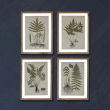 Wood Framed Wall Décor with Botanical Print Greenhouse Home