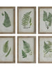 Wood Framed Wall Decor w/Ferns - Greenhouse Home