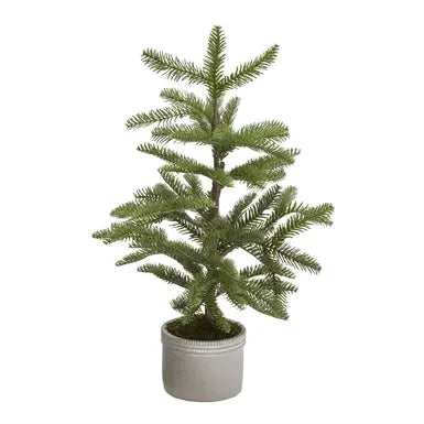 Woodland Pine Tree in Cement Pot - Greenhouse Home