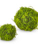 Moss Balls, [product_price]- Greenhouse Home