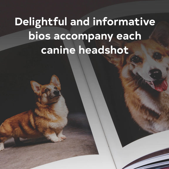 Year of the Dogs Chronicle Books