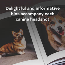 Year of the Dogs Chronicle Books