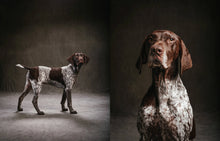 Year of the Dogs Chronicle Books