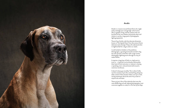 Year of the Dogs Chronicle Books