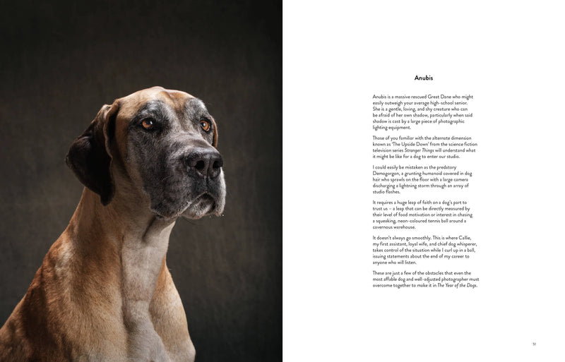 Year of the Dogs Chronicle Books