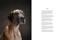 Year of the Dogs Chronicle Books