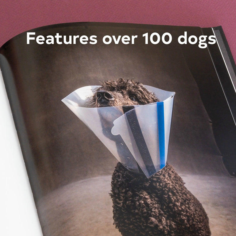 Year of the Dogs Chronicle Books