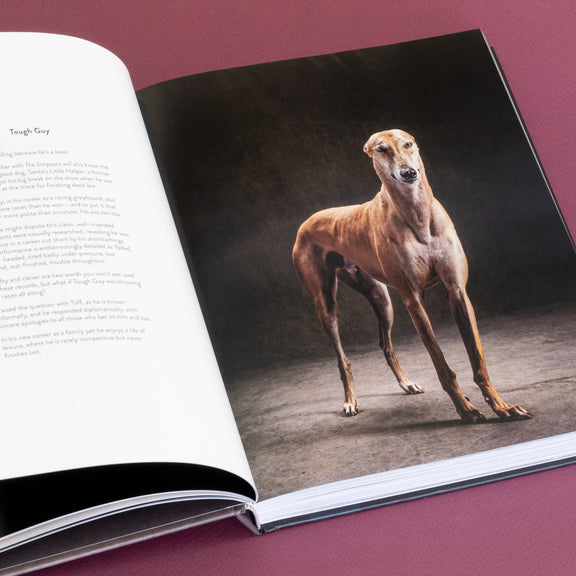 Year of the Dogs Chronicle Books