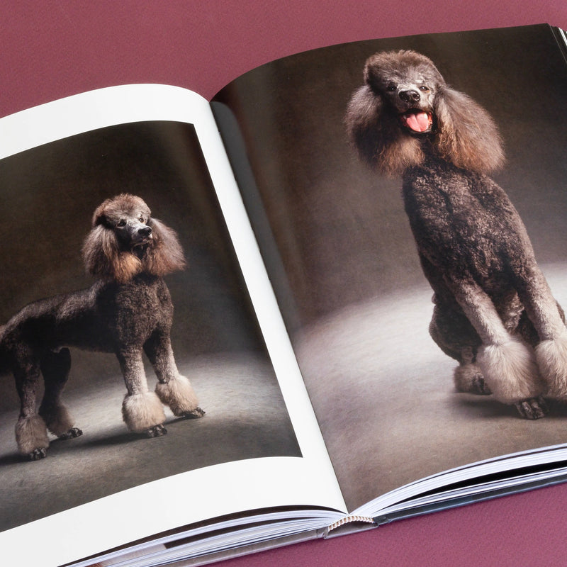 Year of the Dogs Chronicle Books
