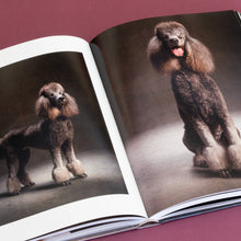 Year of the Dogs Chronicle Books