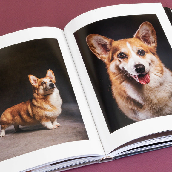 Year of the Dogs Chronicle Books