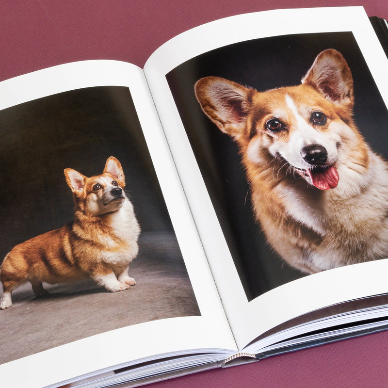 Year of the Dogs Chronicle Books
