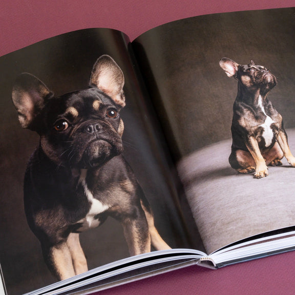 Year of the Dogs Chronicle Books