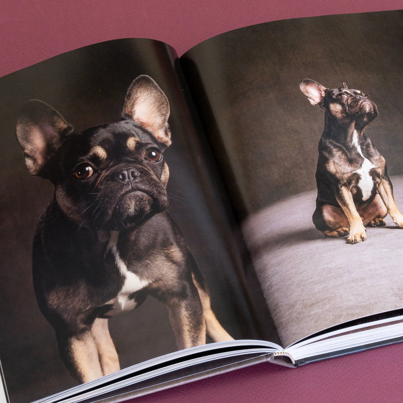 Year of the Dogs Chronicle Books