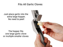 Zyliss Susi III Garlic Press - Crusher, Mincer and Peeler DKHB [Zyliss, Cole & Mason, Swissmar, AdHoc, Ken Hom]