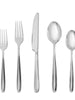 Scoop Stainless Steel Flatware, Set of 5, [product_price]- Greenhouse Home