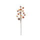 Velvet Pumpkin Stem